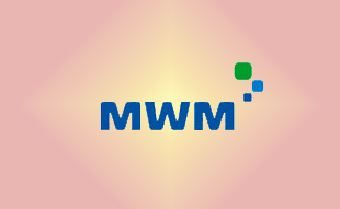 ✓ MWM 1179705 Свеча зажигания 